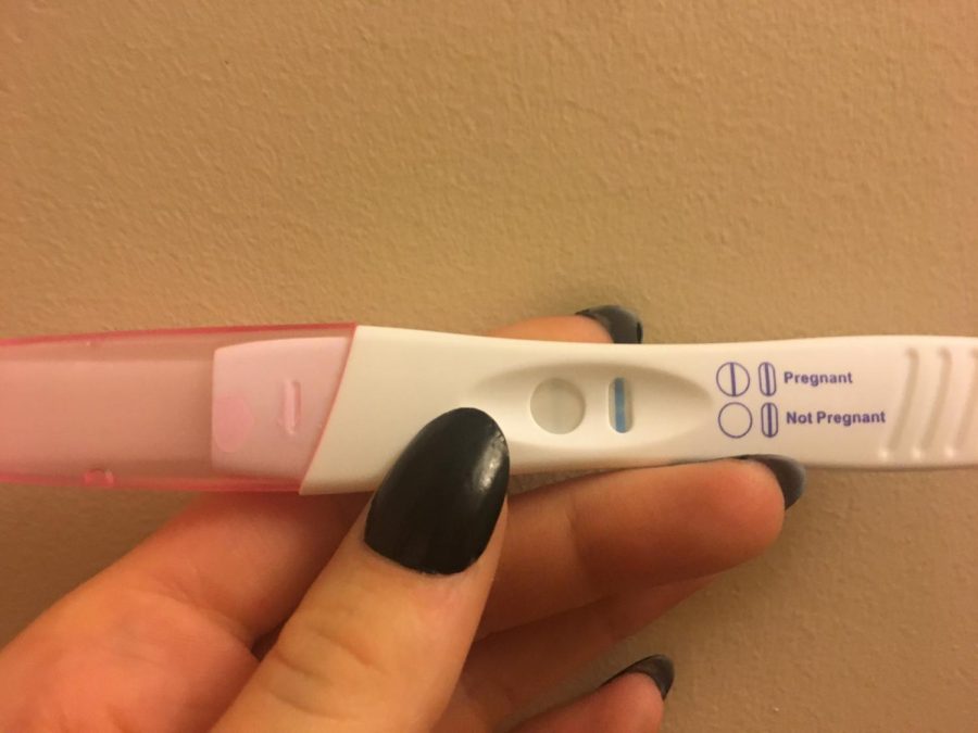 Lanies Pregnancy Test