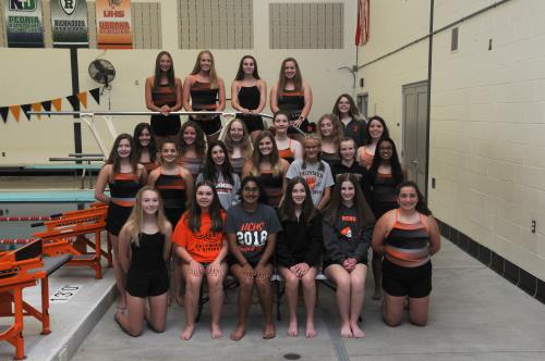 The 2020 Lady Iron Swimming and Diving team looks to move to the next level of competition.