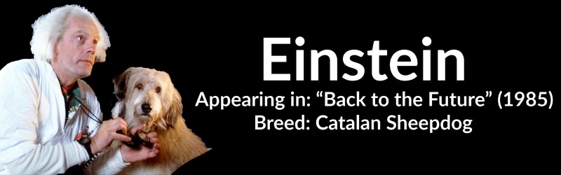 Einstein