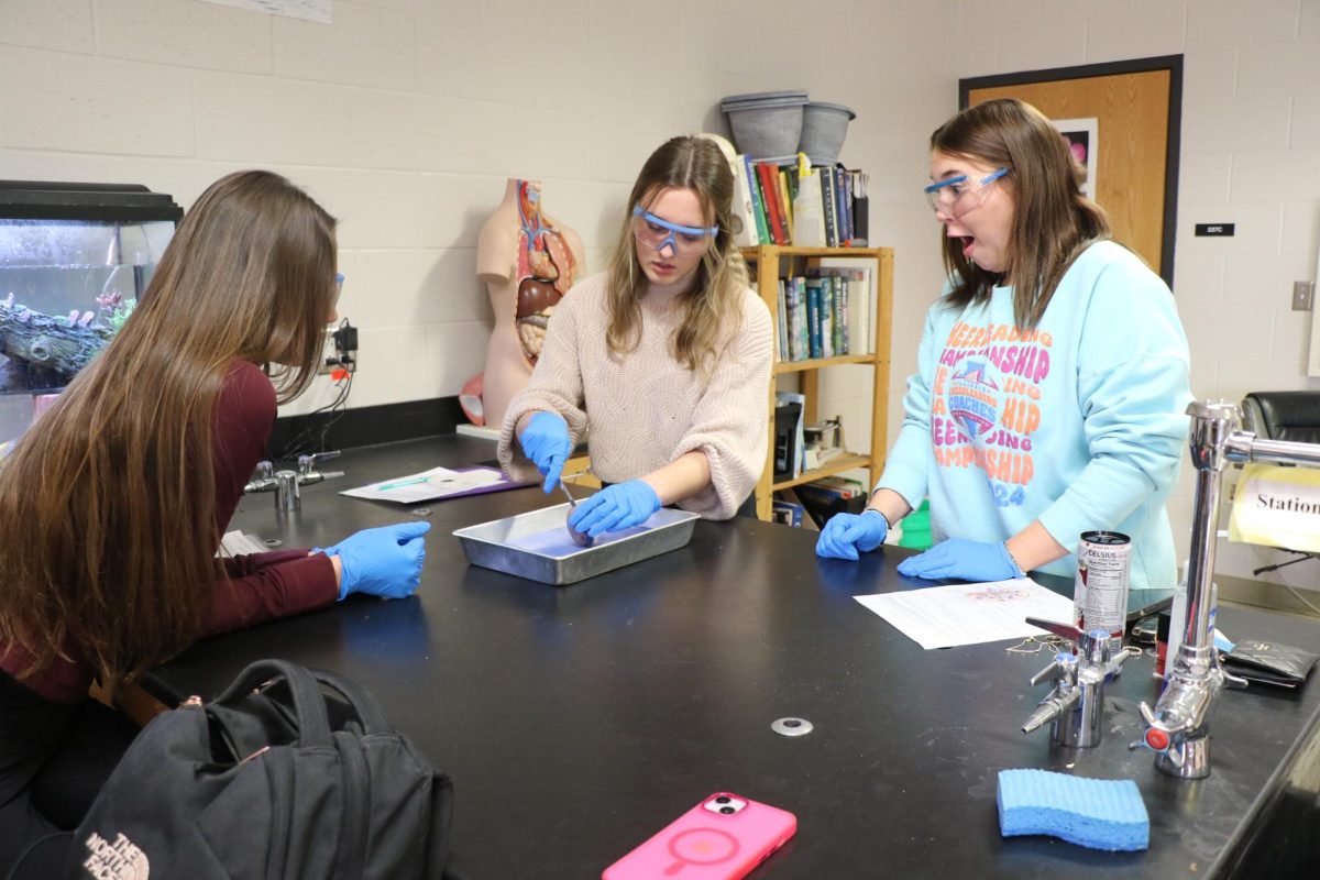 The dissection, Paige Roser thought, was “really cool. It's ... similar to the real life models that we looked at.”