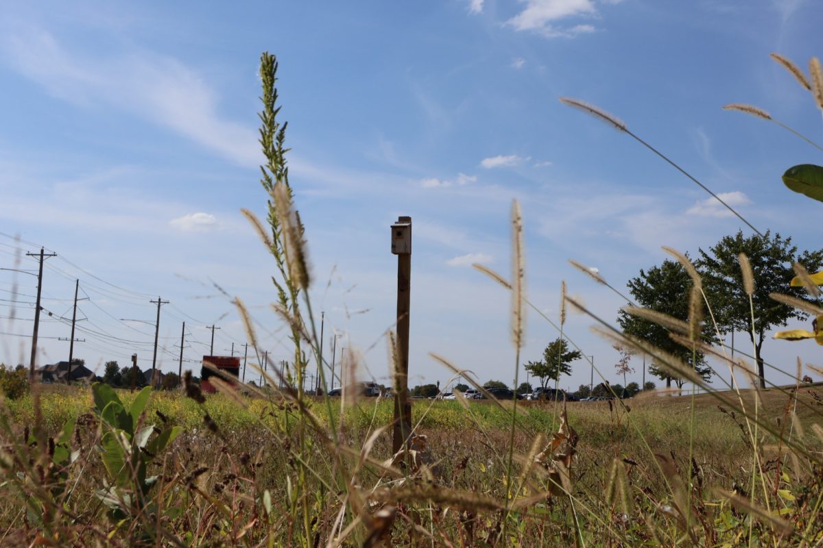 One of 10 birdhouses stands in the retention basin in front of Community, part of a sociology class “Impact Project” aimed at restoring native habitat from the 2024-2025 school year.