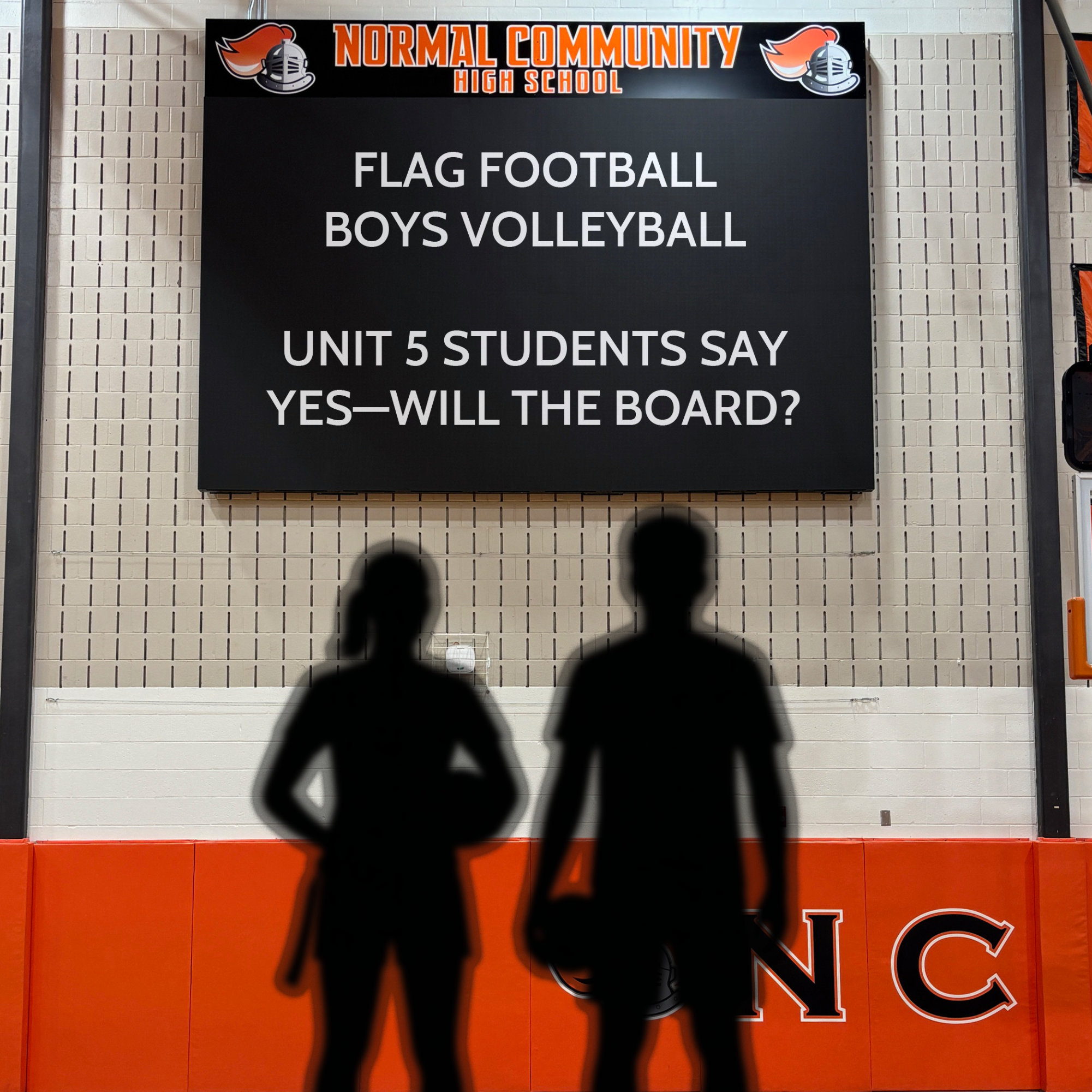 The Unit 5 Board of Education will vote on the proposal to add two IHSA sports at the high school level on Sept. 17.[Photo Illustration]