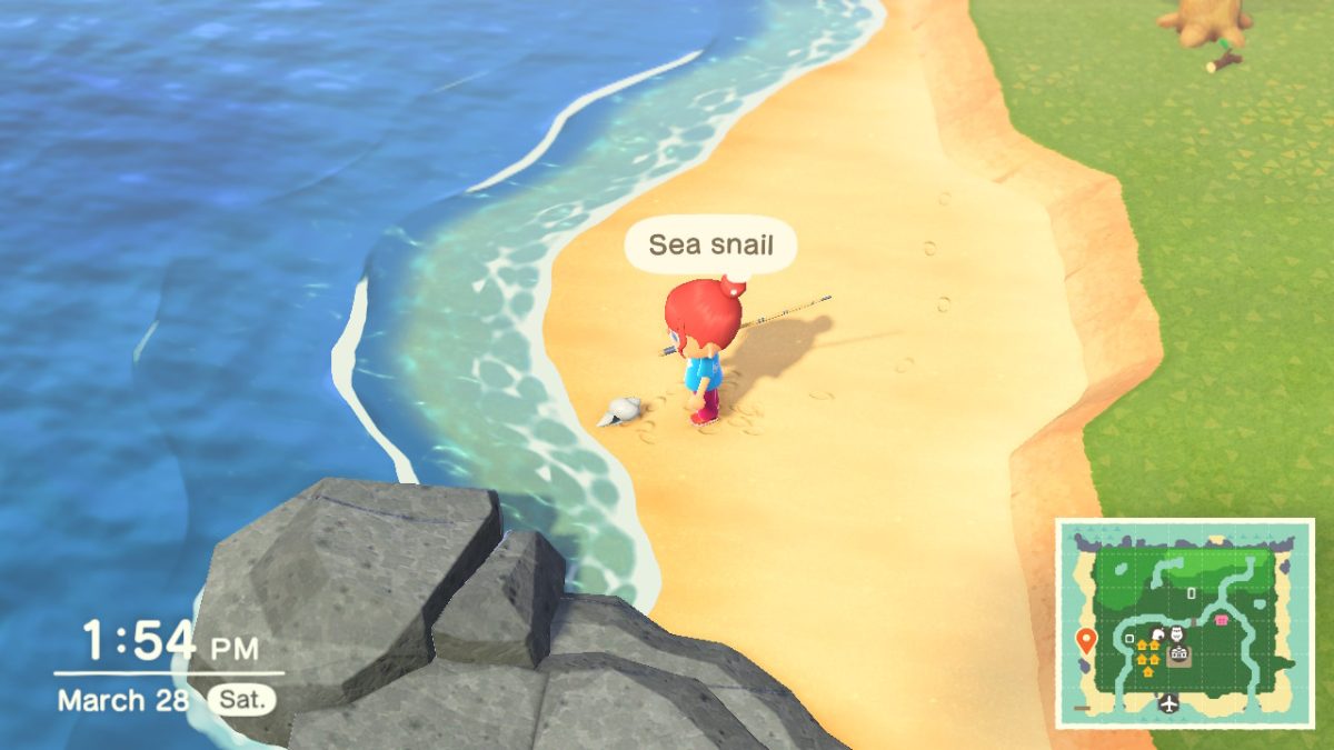 You’d better brush up on your snail identification skills: "Animal Crossing’s" sea snails are harmless collectibles, but real-life freshwater snails can carry parasites that make them far scarier than they look.

Image Capture: Nintendo's Animal Crossing: New Horizons